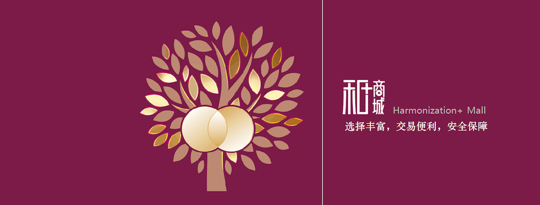 朗尊软件